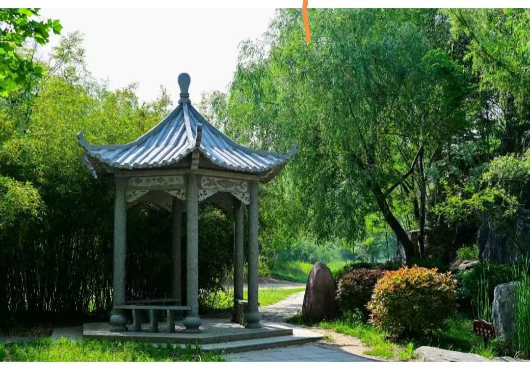 494949最快历史结果app