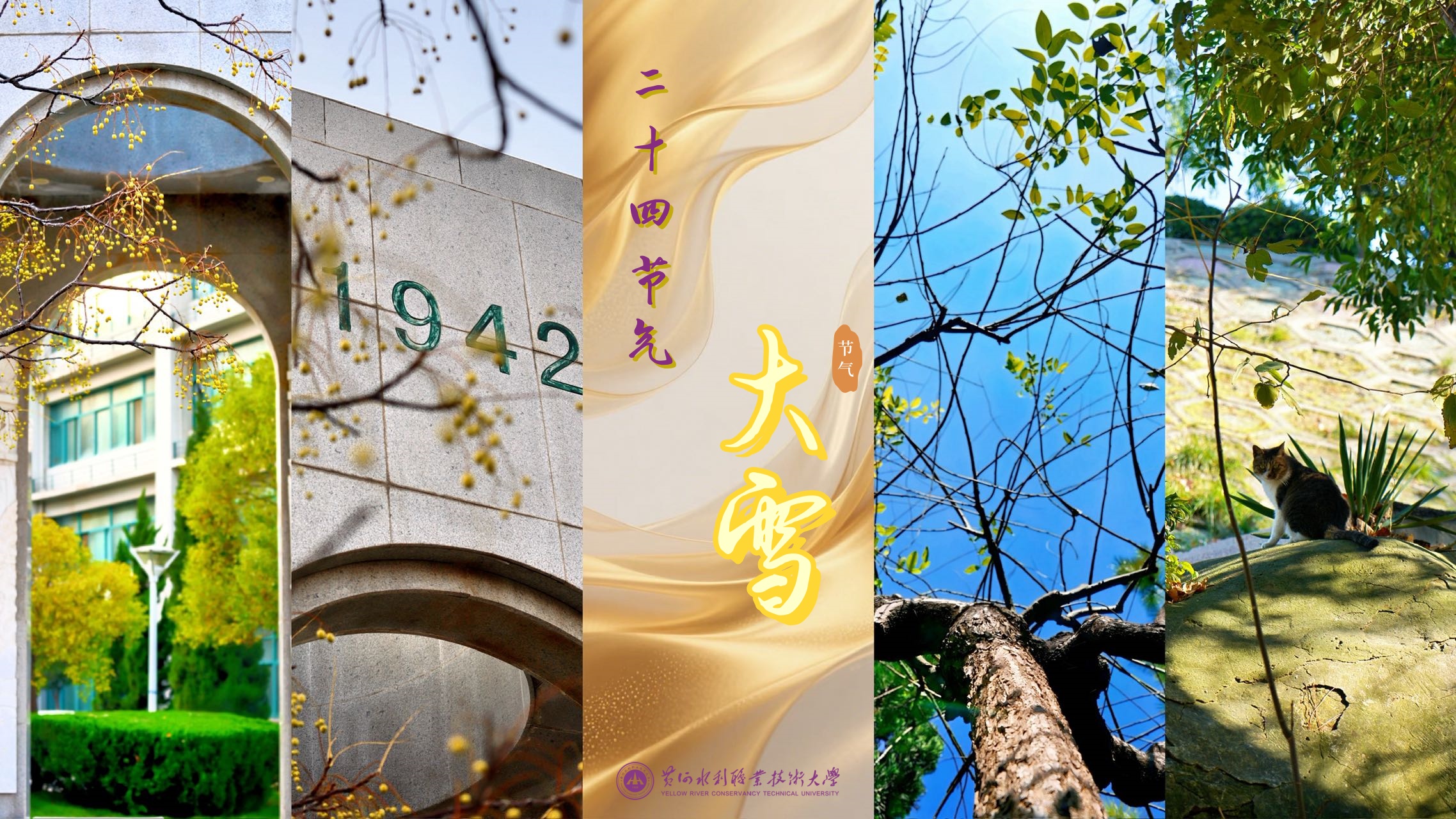 494949最快历史结果app