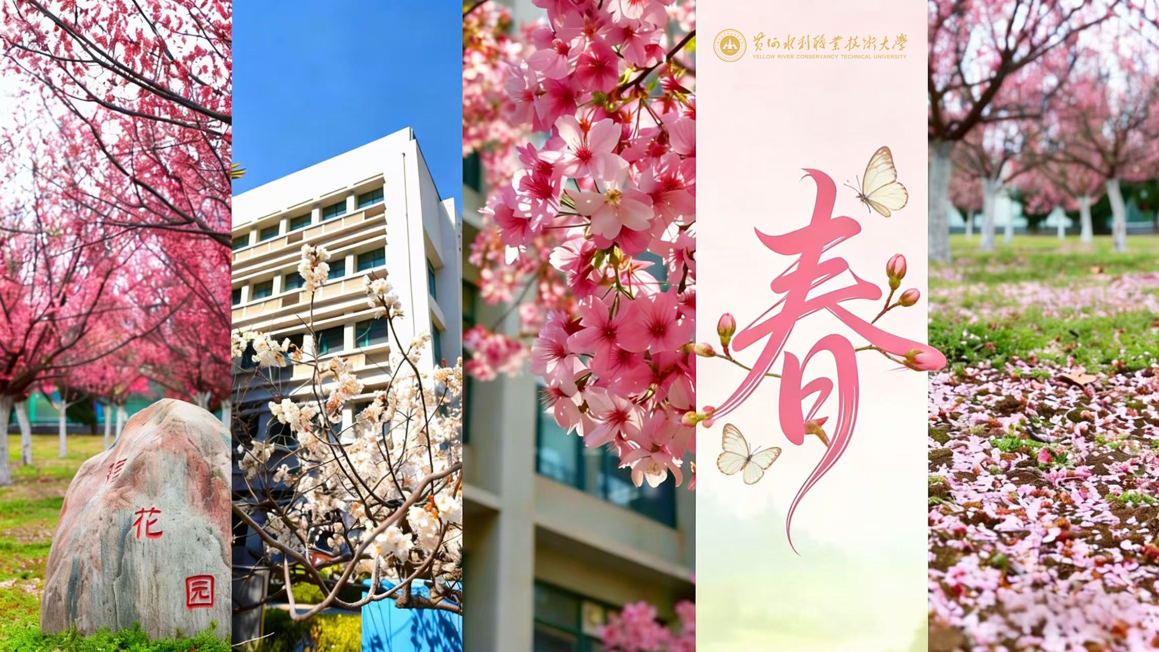 494949最快历史结果app