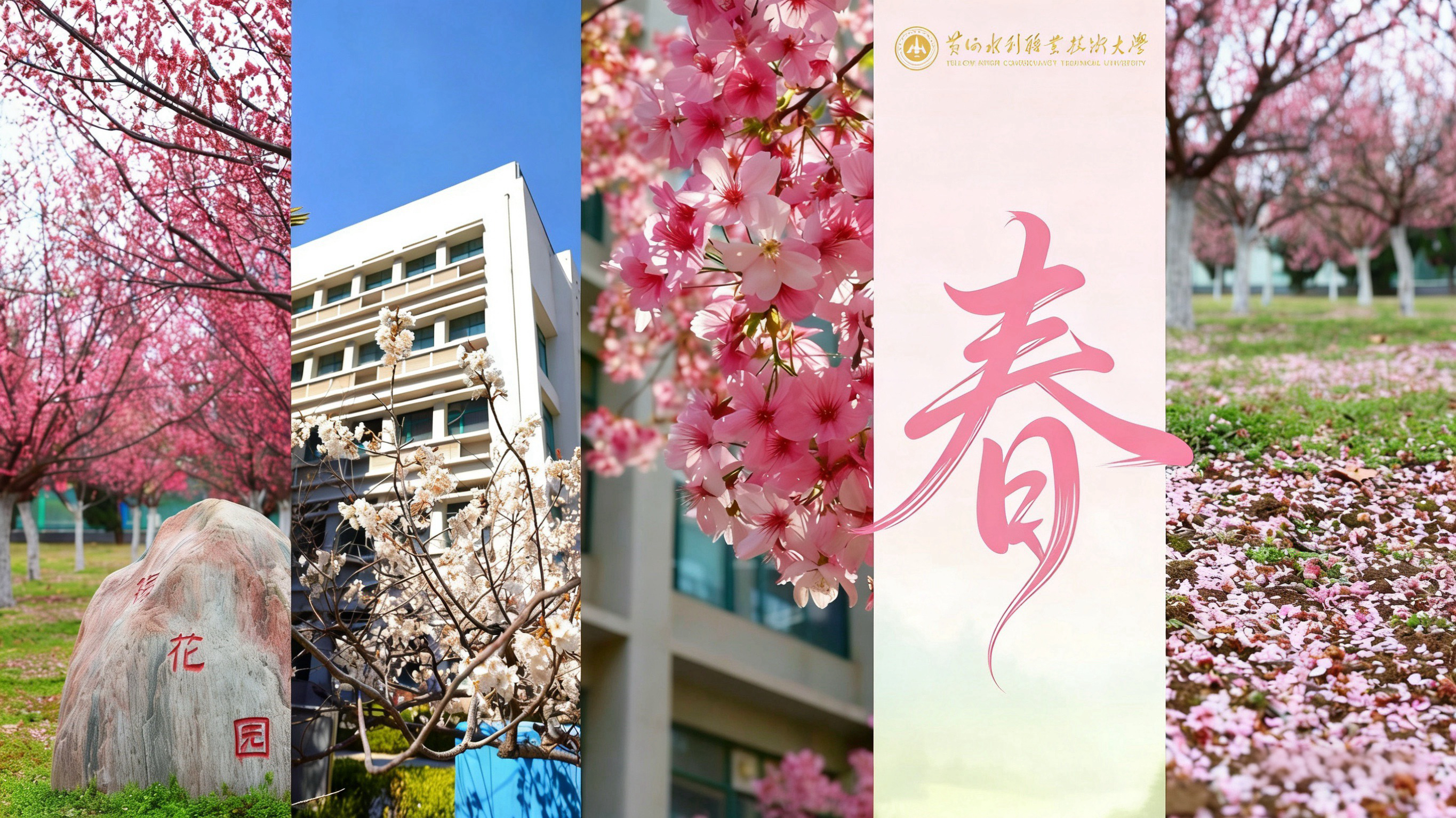 494949最快历史结果app