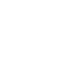 494949最快历史结果app
